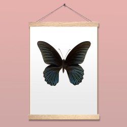 Affiche Entomologique Liljebergs - Papillon noir - Papilio Memnon - accroche poster en chêne - Boutique Les inutiles