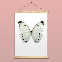 Affiche Insecte Liljebergs - Poster Papillon blanc lune - Illustration Morpho Luna - Boutique Les inutiles