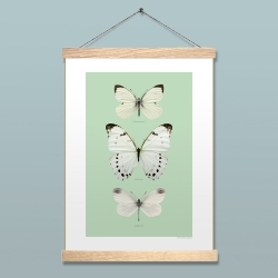 Liljebergs Affiche insectes turquoise et papillons blancs - Accroche photo en bois reglettes aimantées - Boutique Les inutiles